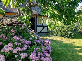 Vakantiehuis Humble Buitenaudio-opname 1