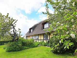 Ferienhaus Humble Außenaufnahme 14