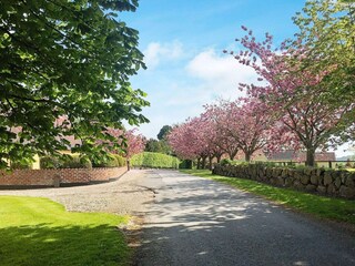 Maison de vacances Humble Enregistrement extérieur 4