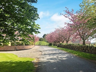 Vakantiehuis Humble Buitenaudio-opname 4