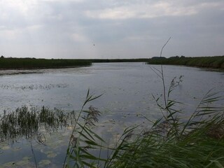 Maison de vacances Rodenäs  12