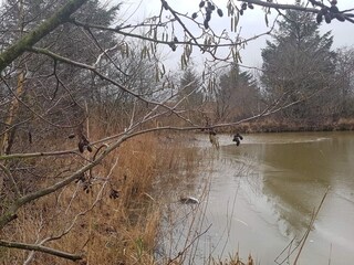 Casa de vacaciones Rodenäs  27