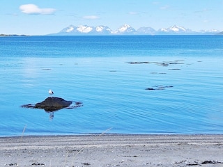 Ferienhaus Rolla (Troms)  49