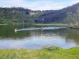 Ferienhaus Rolla (Troms)  43