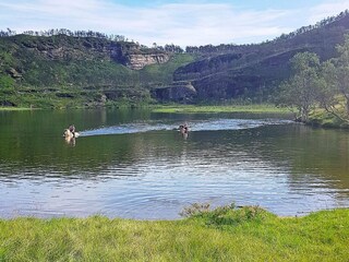 Vakantiehuis Rolla (Troms)  48