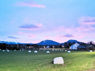 Ferienhaus Rolla (Troms)  36