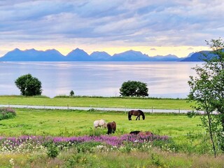 Holiday house Rolla (Troms)  30