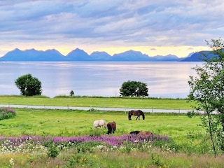 Maison de vacances Rolla (Troms)  11