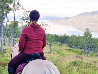 Vakantiehuis Rolla (Troms)  42