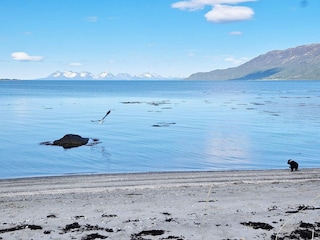 Ferienhaus Rolla (Troms)  11