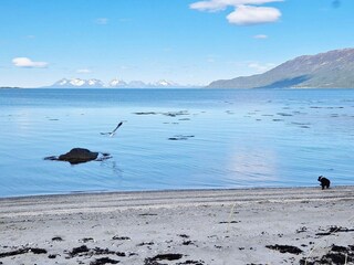 Vakantiehuis Rolla (Troms)  62