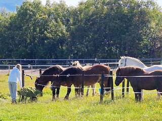 Maison de vacances Rolla (Troms)  30