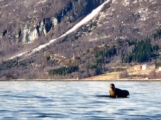 Casa per le vacanze Rolla (Troms)  31