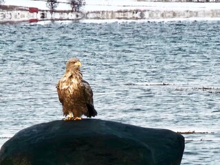 Ferienhaus Rolla (Troms)  57
