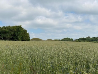 Casa de vacaciones Trend  15