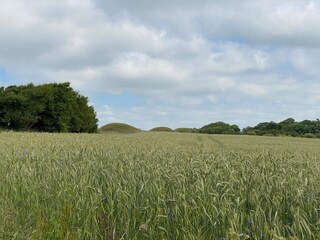 Maison de vacances Trend  15