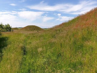 Casa de vacaciones Trend  25