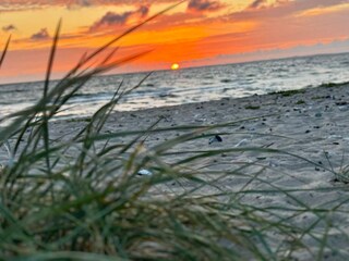 Vakantiehuis Trend  7