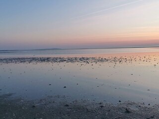 Holiday house Trend  19