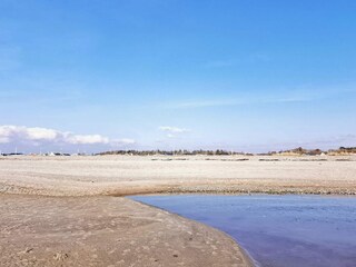 Holiday house Trend  32