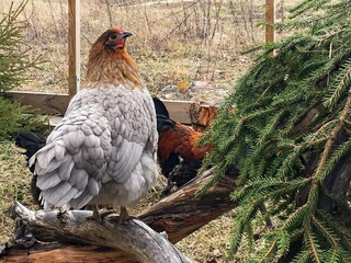 Casa de vacaciones Flen  12