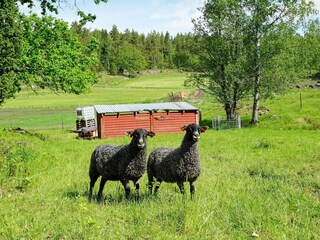 Maison de vacances Flen  21