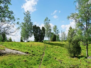 Vakantiehuis Flen Buitenaudio-opname 1