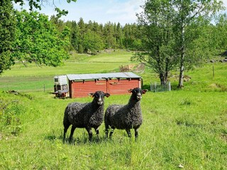 Casa de vacaciones Flen  19
