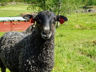 Holiday house Flen  22