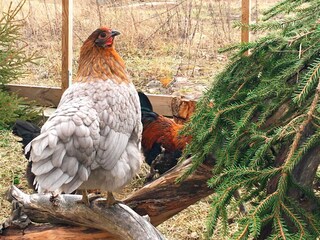 Casa per le vacanze Flen  27