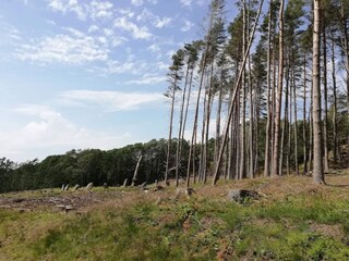 Maison de vacances Havstenssund  28