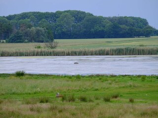 Ferienhaus Marielyst  18