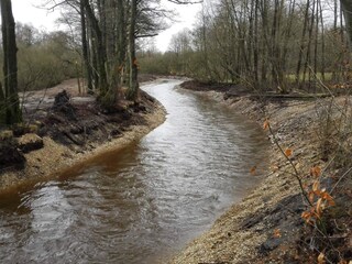 Casa per le vacanze Ansager  11