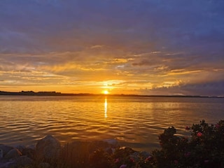 Maison de vacances Asperup  31