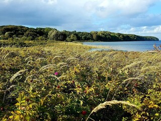 Vakantiehuis Asperup  26