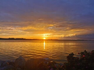 Vakantiehuis Asperup  29