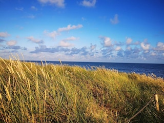Vakantiehuis Blåvand  25