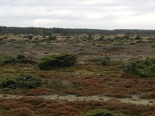 Vakantiehuis Als  13
