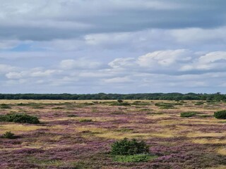 Casa per le vacanze Als  23