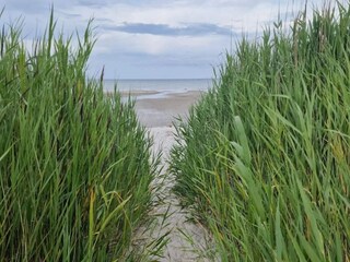 Vakantiehuis Als  32