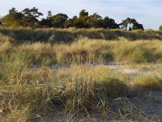 Casa per le vacanze Vaeggerløse  11