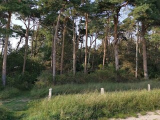 Casa per le vacanze Vaeggerløse  18