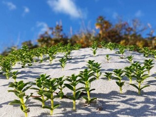 Maison de vacances Vaeggerløse  27