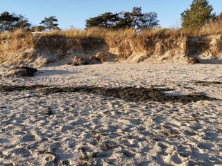 Vakantiehuis Vaeggerløse  28