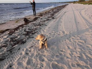 Casa per le vacanze Vaeggerløse  38