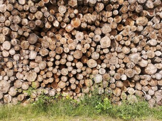 Ferienhaus Læsø  13