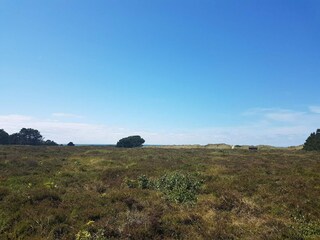 Casa per le vacanze Læsø  19