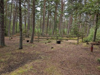 Maison de vacances Læsø  35