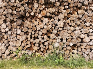 Ferienhaus Læsø  30