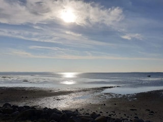 Ferienhaus Porsheden  24